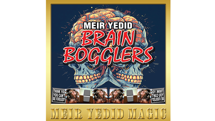 Brain Bogglers by Meir Yedid