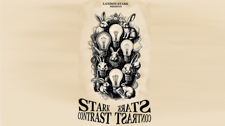 The Stark Contrast by Landon Stark - ebook