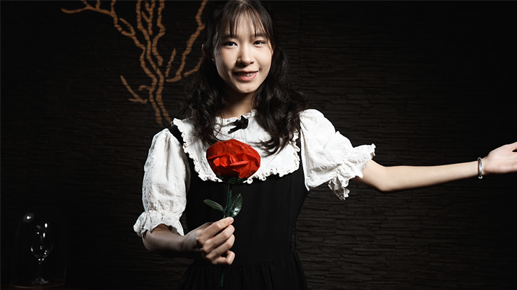 Fantasy Rose by Leon, Bond Lee & MS Magic